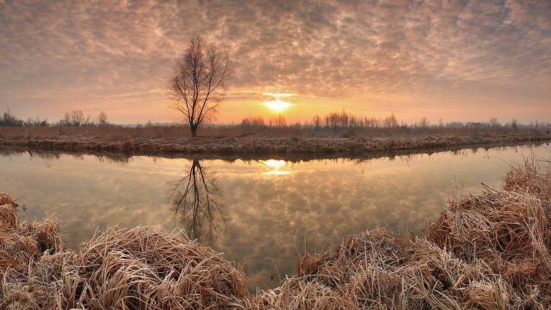Пятнистое утро фото превью