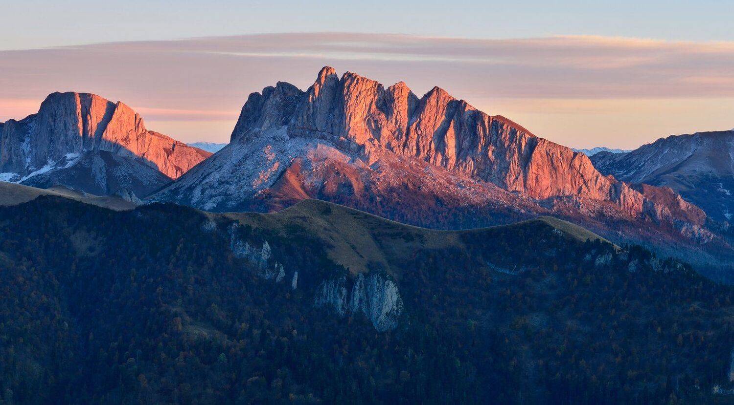 , Максим Евдокимов