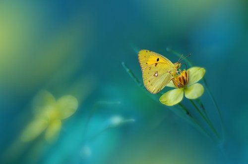 `~*~*~*~`