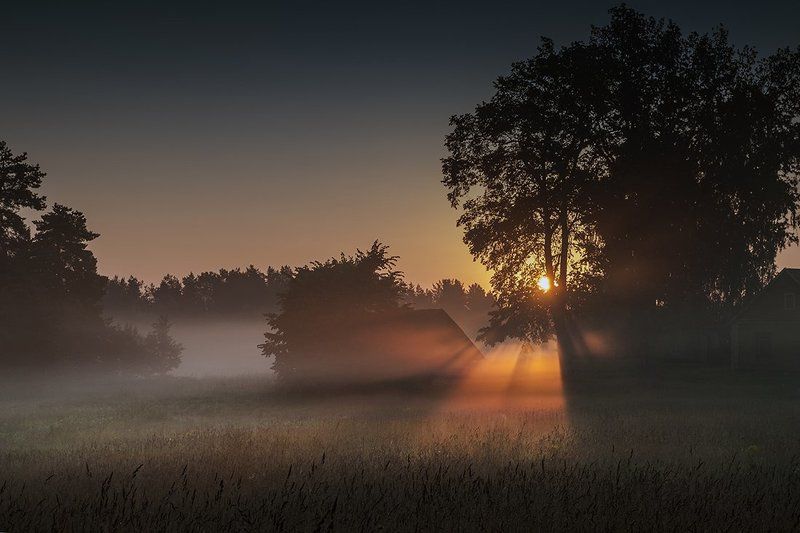 Утром фото превью