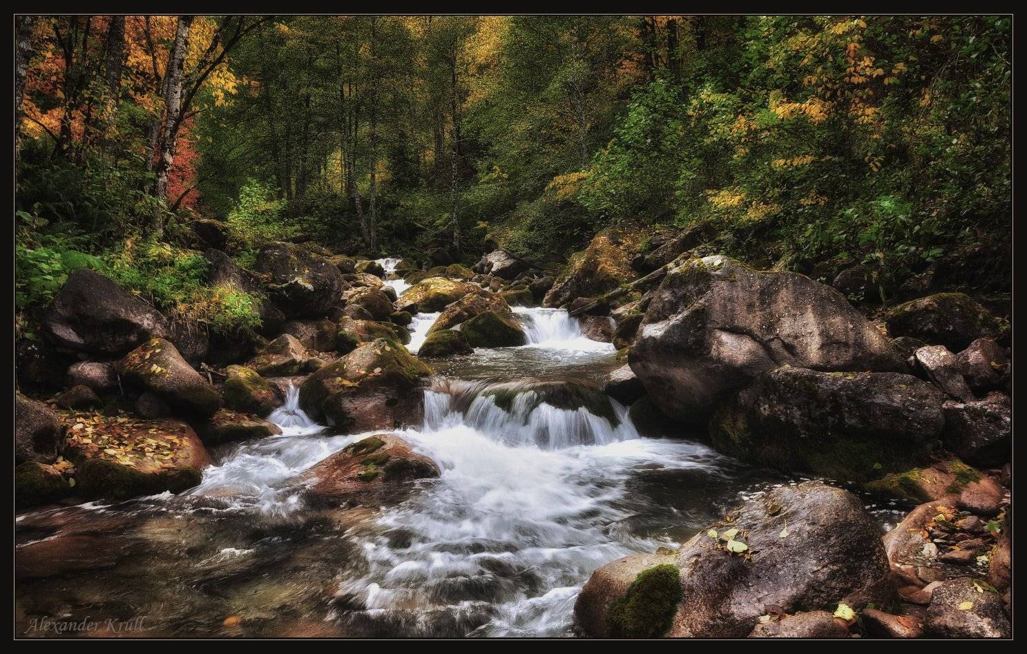 кавказ, кчр, рожкао, осень, река, лес, Александр Круль