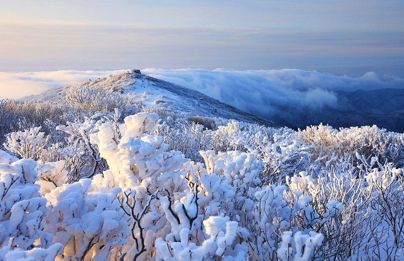 Snow and sea of clouds фото превью