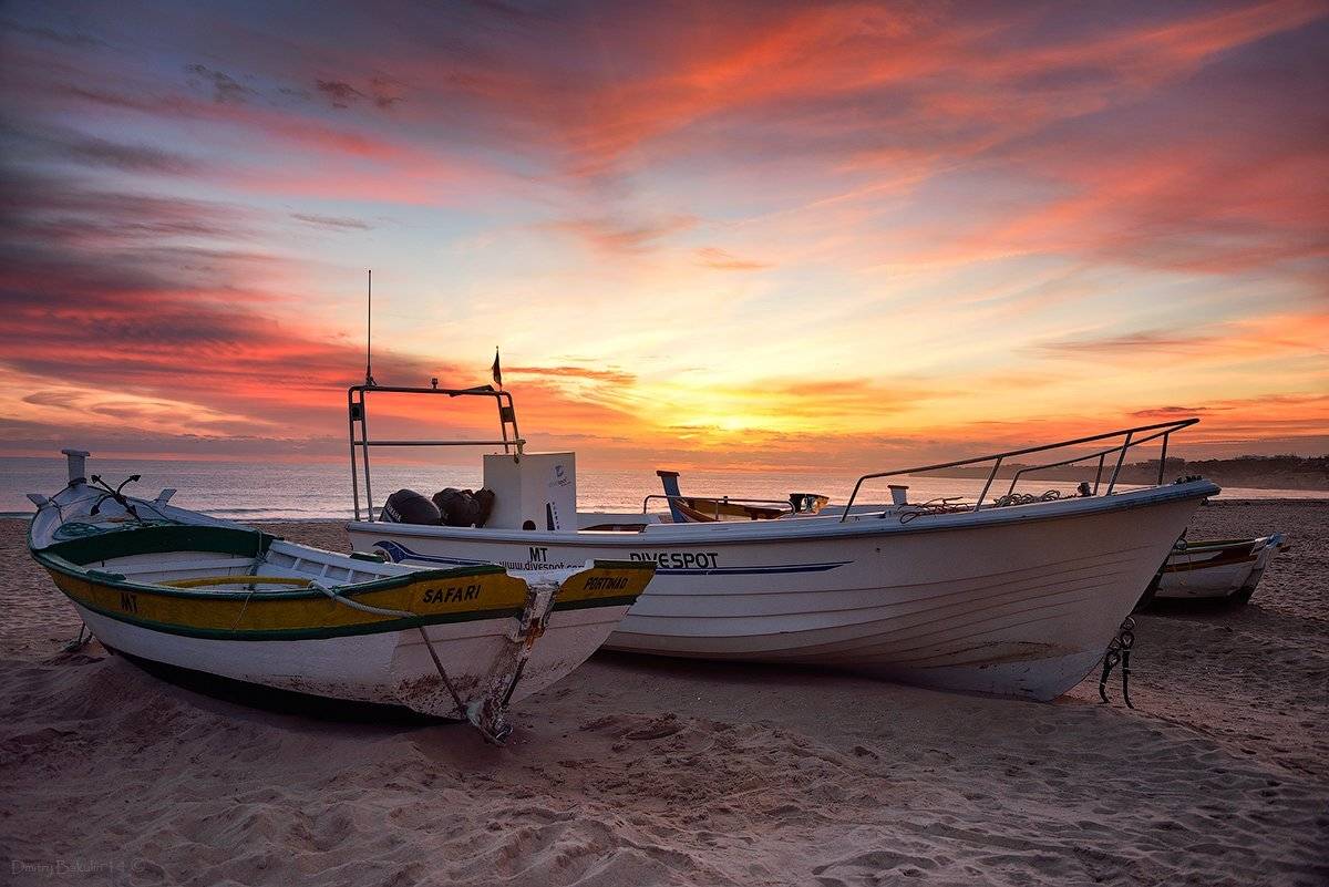 , Дмитрий Бакулин