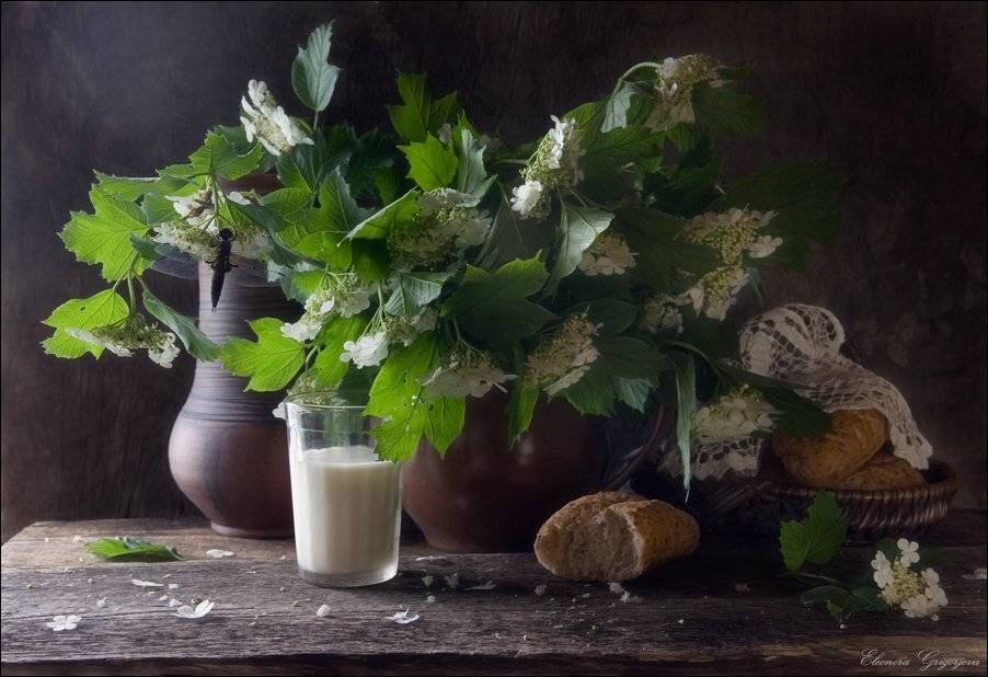 , Eleonora Grigorjeva