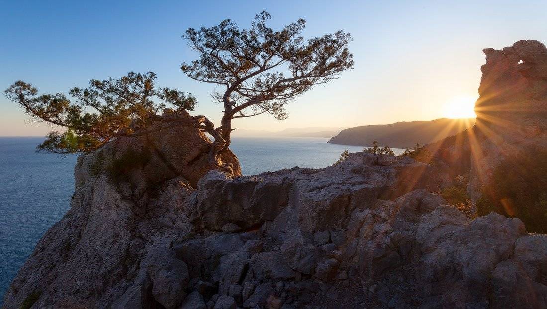 , Ярослав Тюрменко (Jaremi)