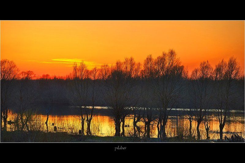 разлив фото превью