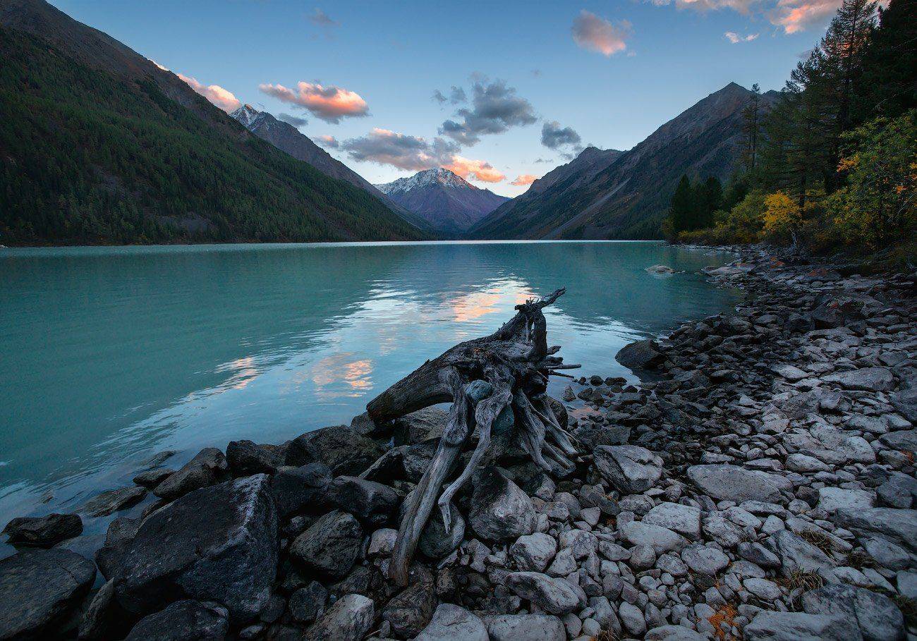 , Владимир Ляпин