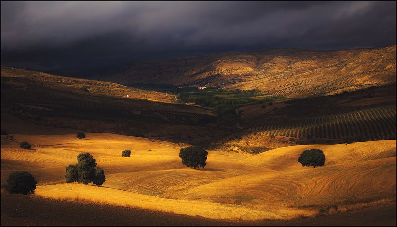 Перед грозой фото превью