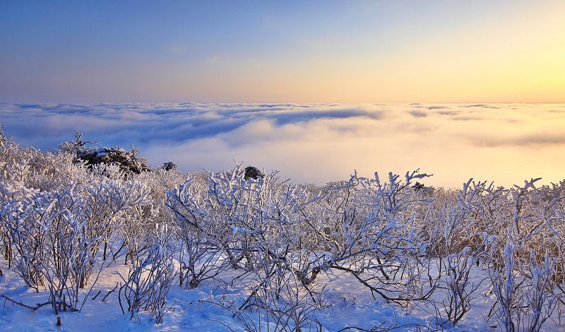 Winter morning in the Taebaek Mountain фото превью