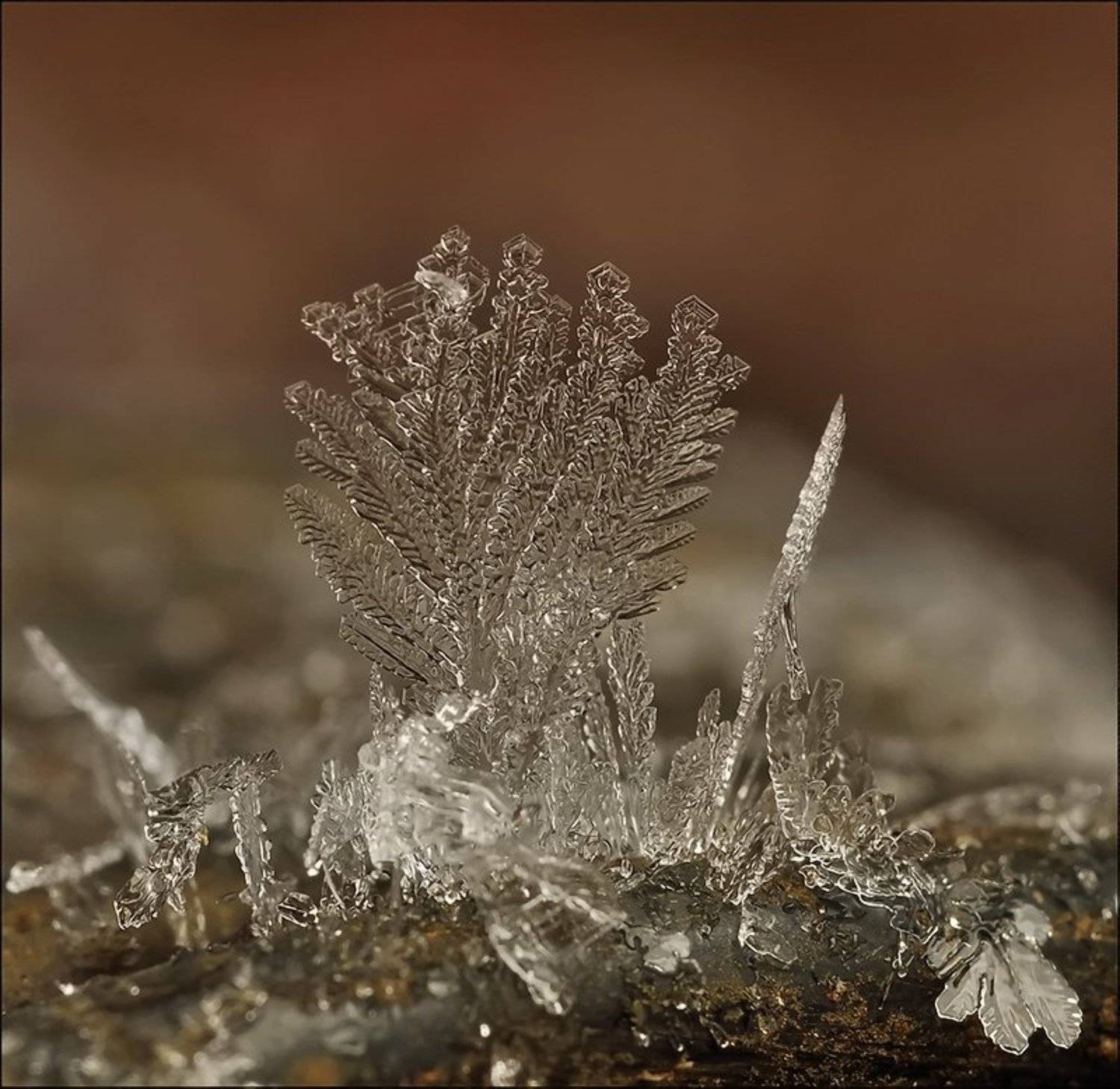 , Андрей Осокин