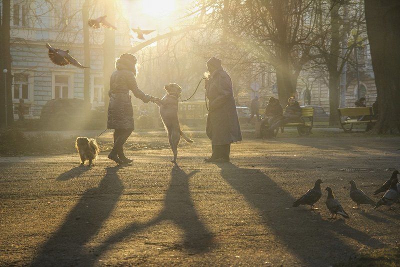 Здравствуй! фото превью