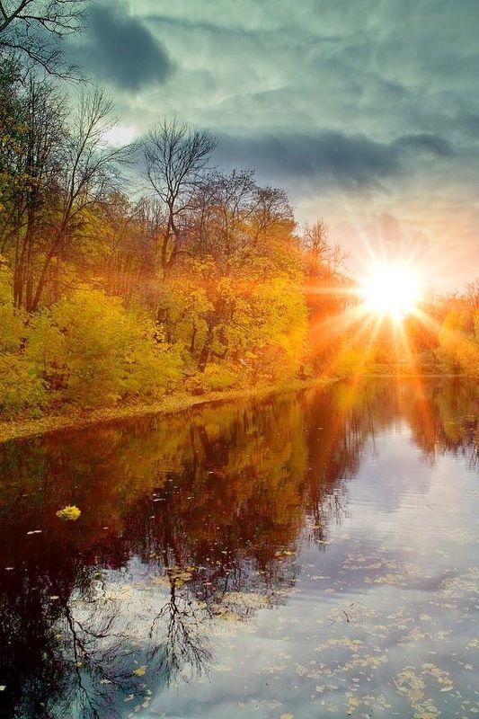 **** фото превью