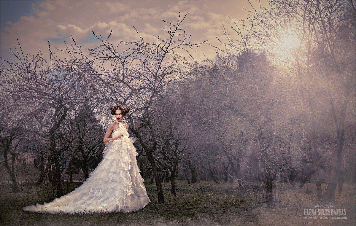 , Сулейманян Елена