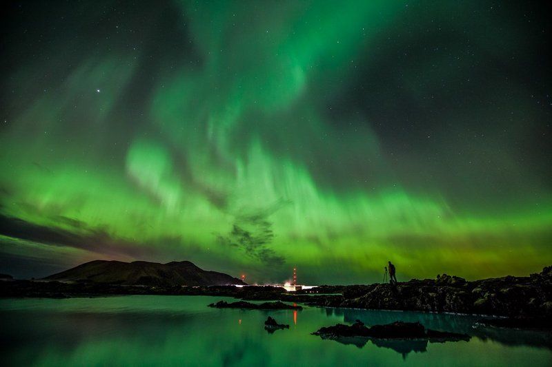 Ночной охотник фото превью