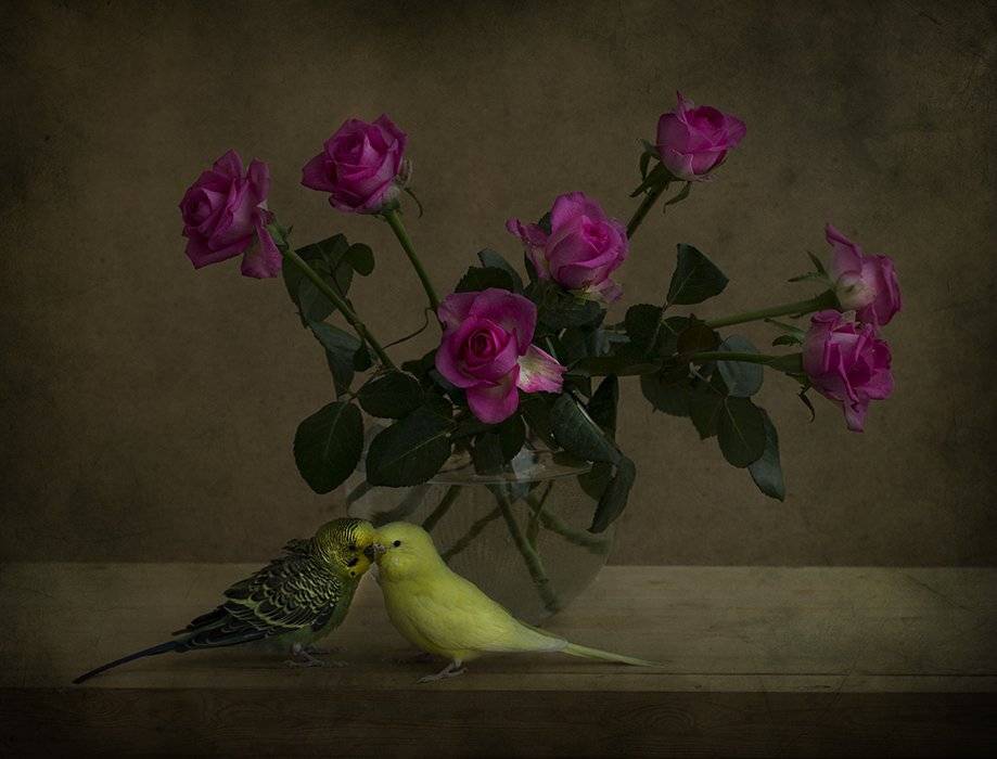 , Петрова Татьяна