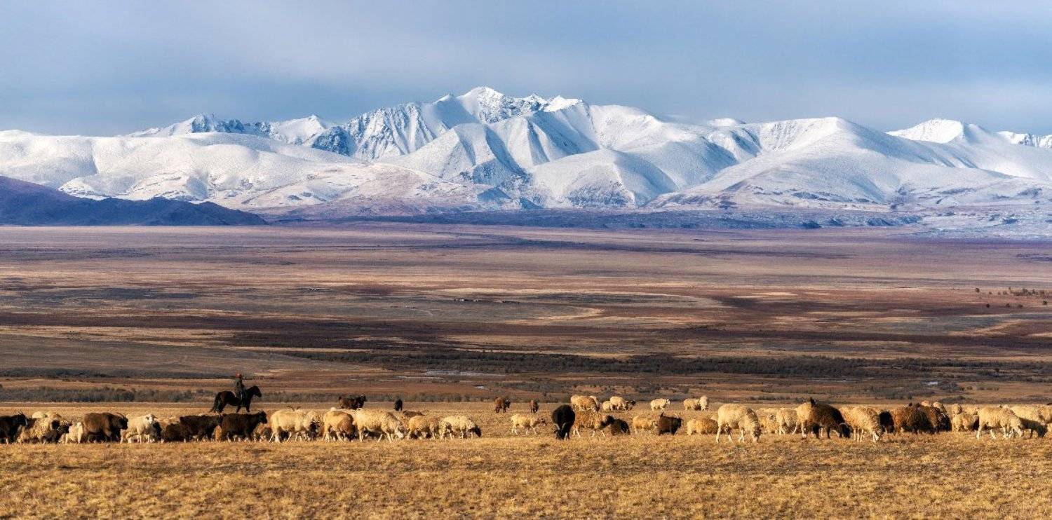 Горный алтай, Чуйская степь, Южно-чуйский хребет, Андрей Грачев