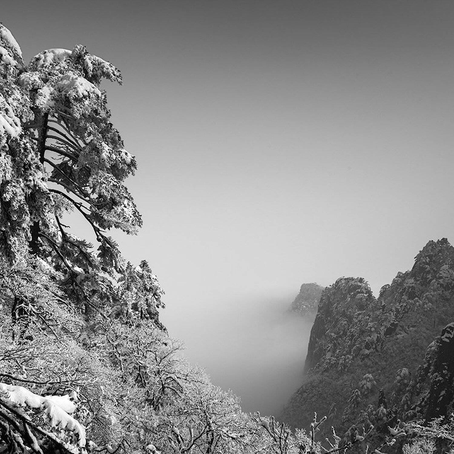 HuangShan. Автор: yelangzhong , yelangzhong