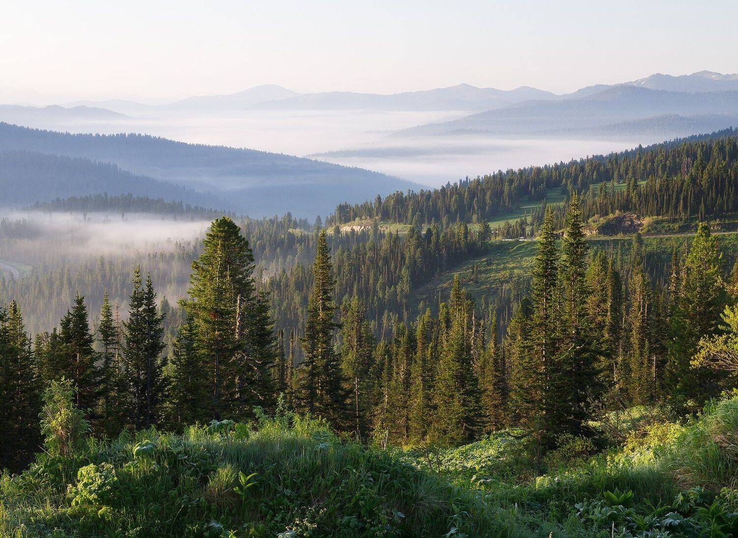 , Лещёнок Александр