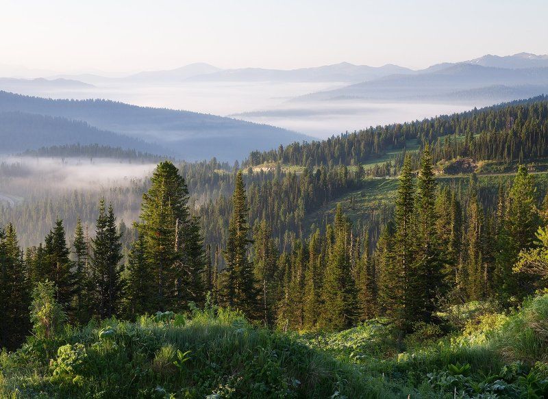 ...Туманными дорогами Ергак... фото превью