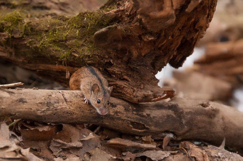 Найди меня фото превью