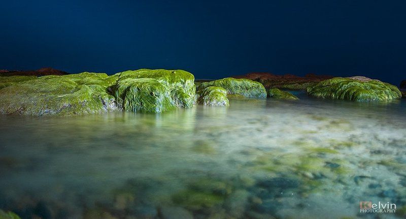 Reu Xanh фото превью