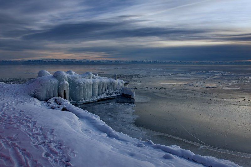 И аллигаторам бывает холодно...) фото превью