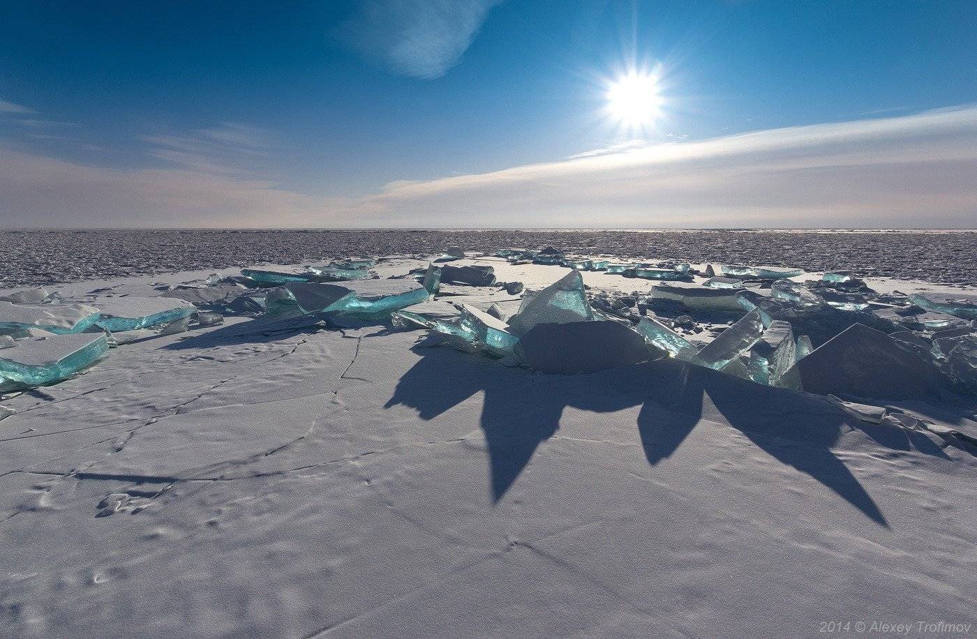 , Алексей Трофимов