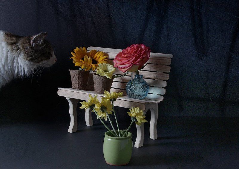 натюрморт Про одну лавочку. История четвертая. фото превью