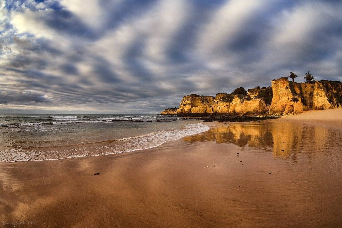 , Дмитрий Бакулин