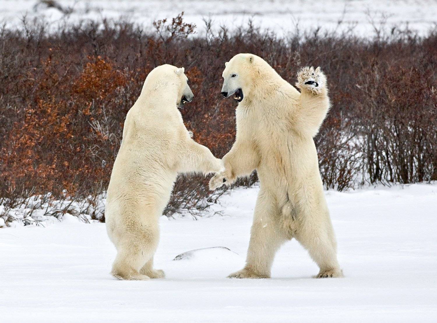 , Алексей Сулоев