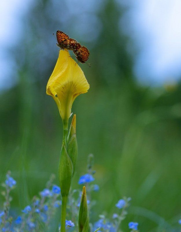 Воздушные очертания (часть 2) фото превью