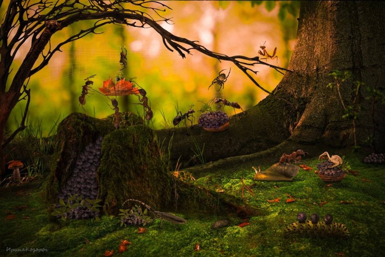 , Ирина Козорог