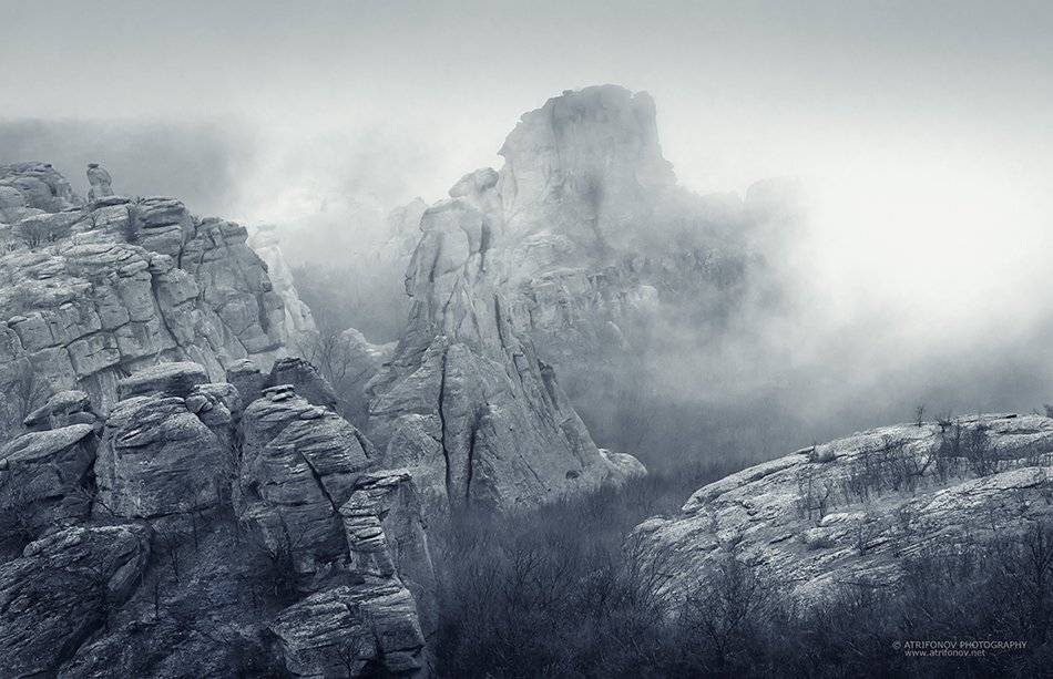 , Andrey Trifonov