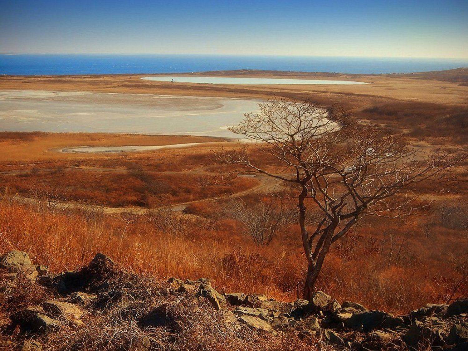 , Грушина Юля