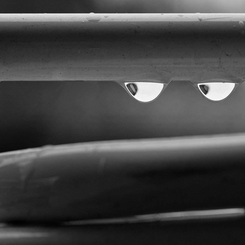 , Васил Анастасовски