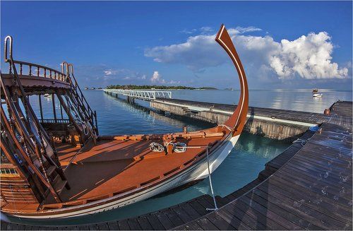 мальдивский носорог