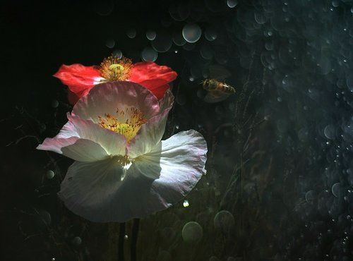 Притяжение....