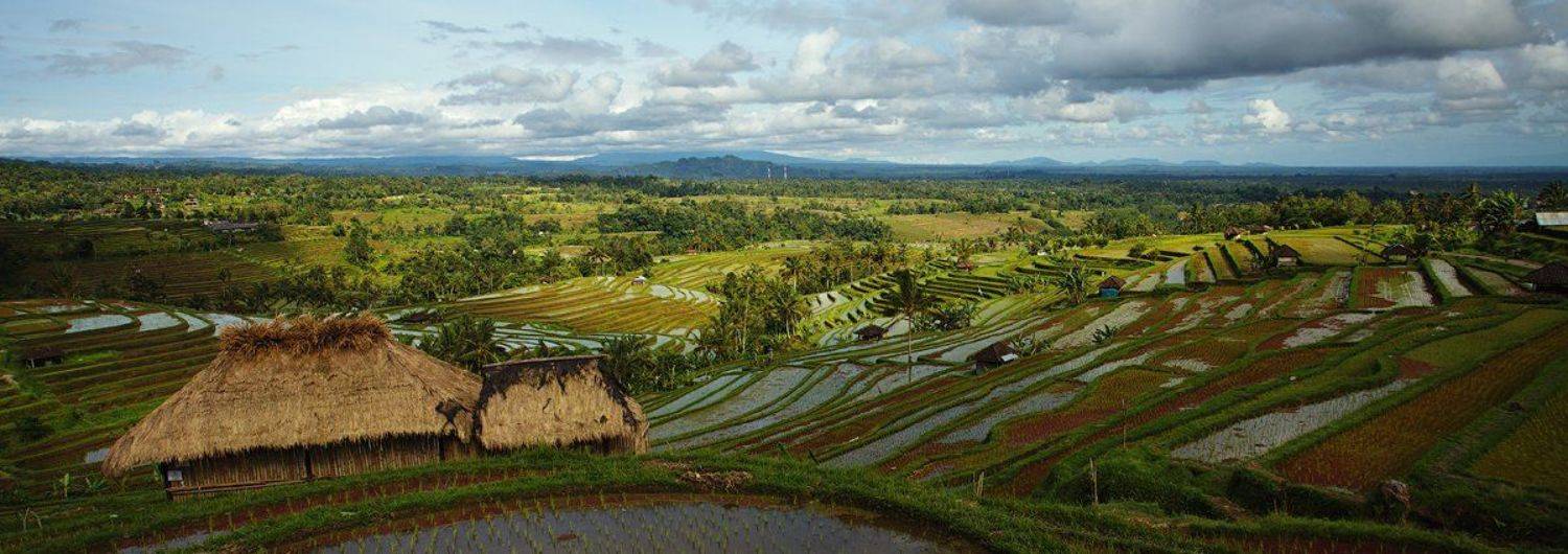 , Кокорев Илья