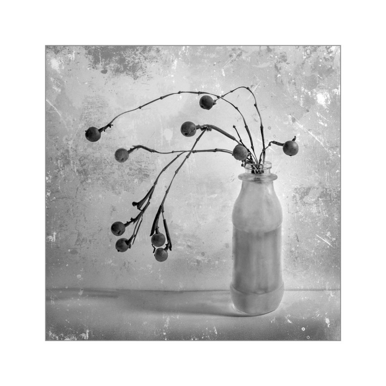 , Людмила Прокофьева