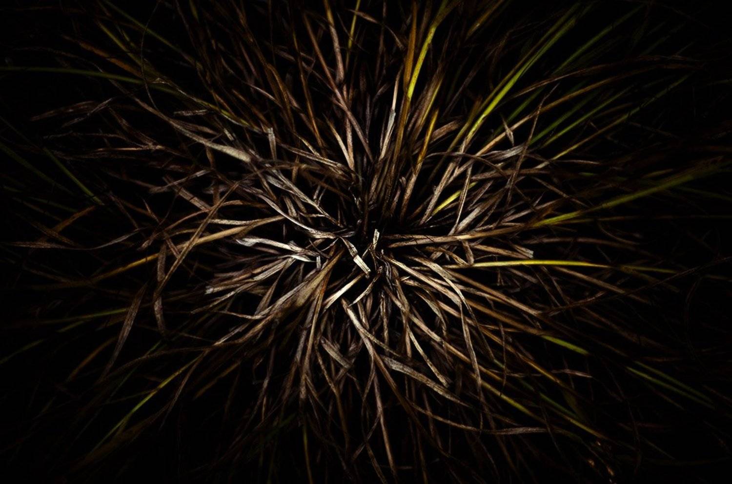 , Юлия Втюрина