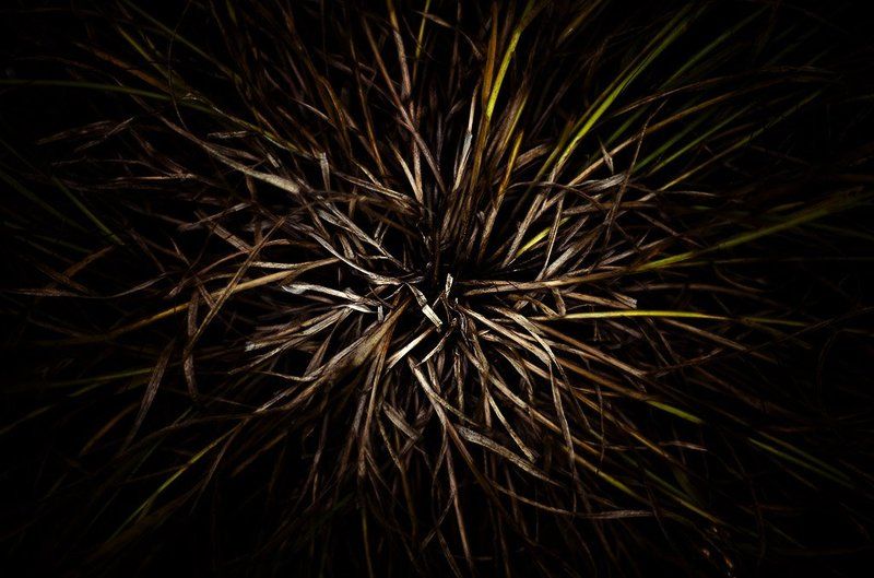 о траве фото превью