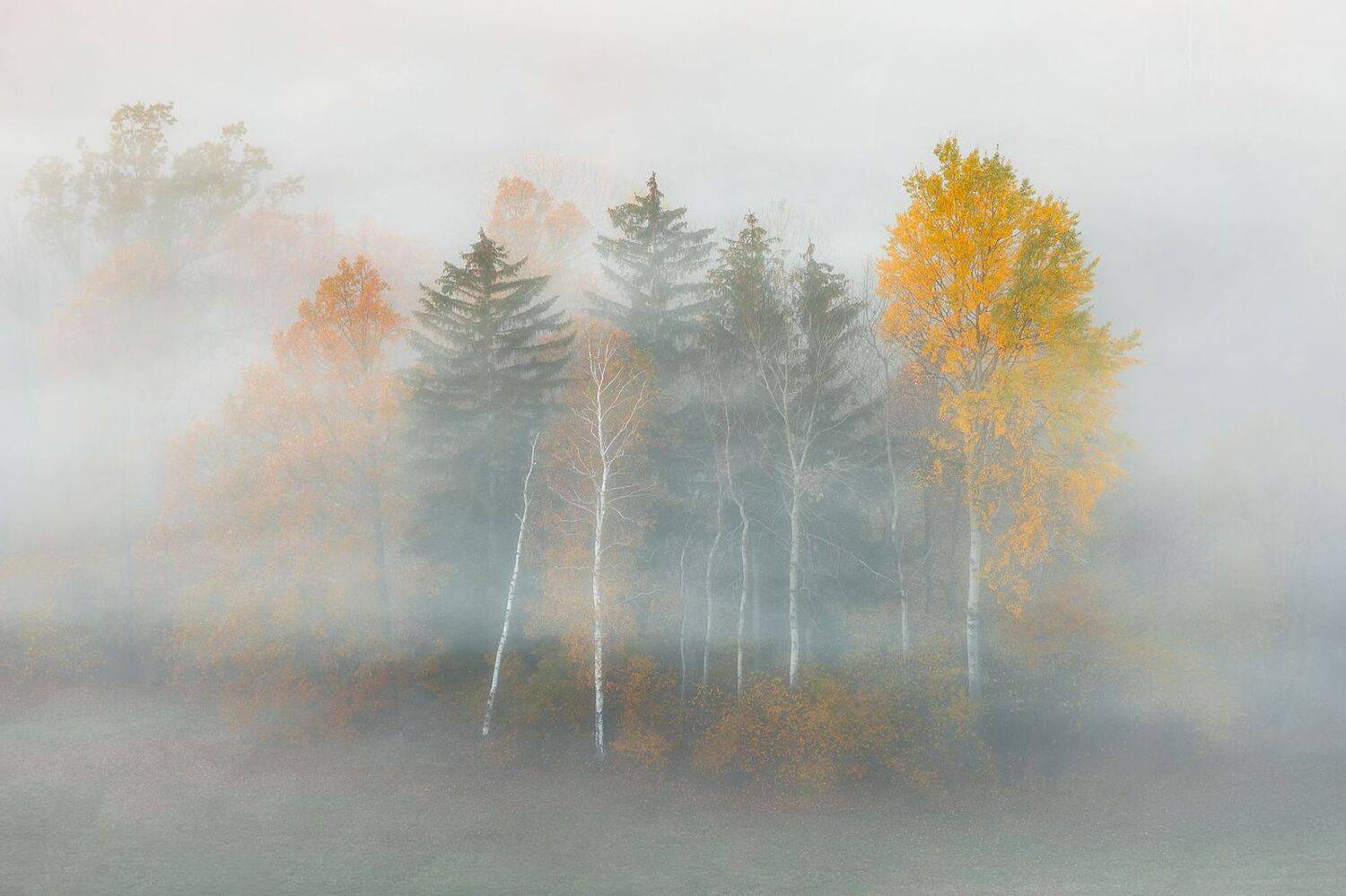 landscape,autumn,mountains,canon, Iza i Darek Mitręga