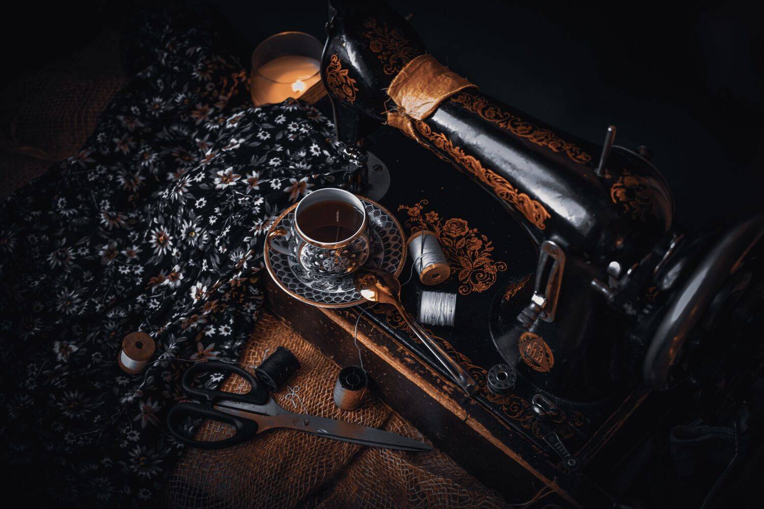 , Лапшина Владлена