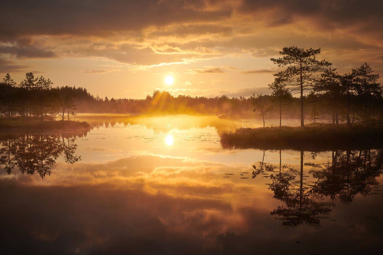 , Антон Кононов