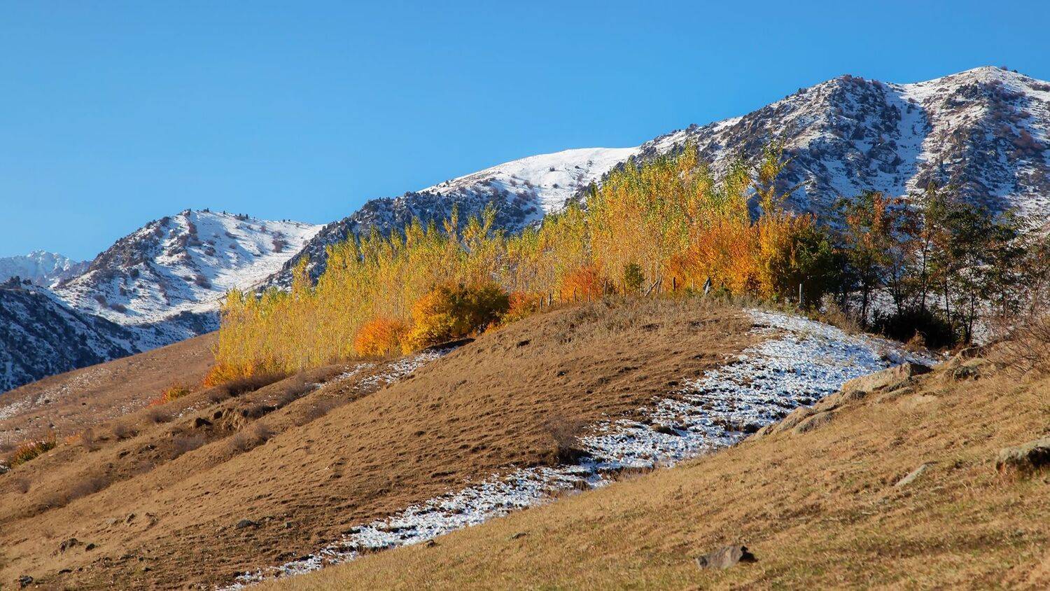 кыргызстан, горы, Элина Магалимова