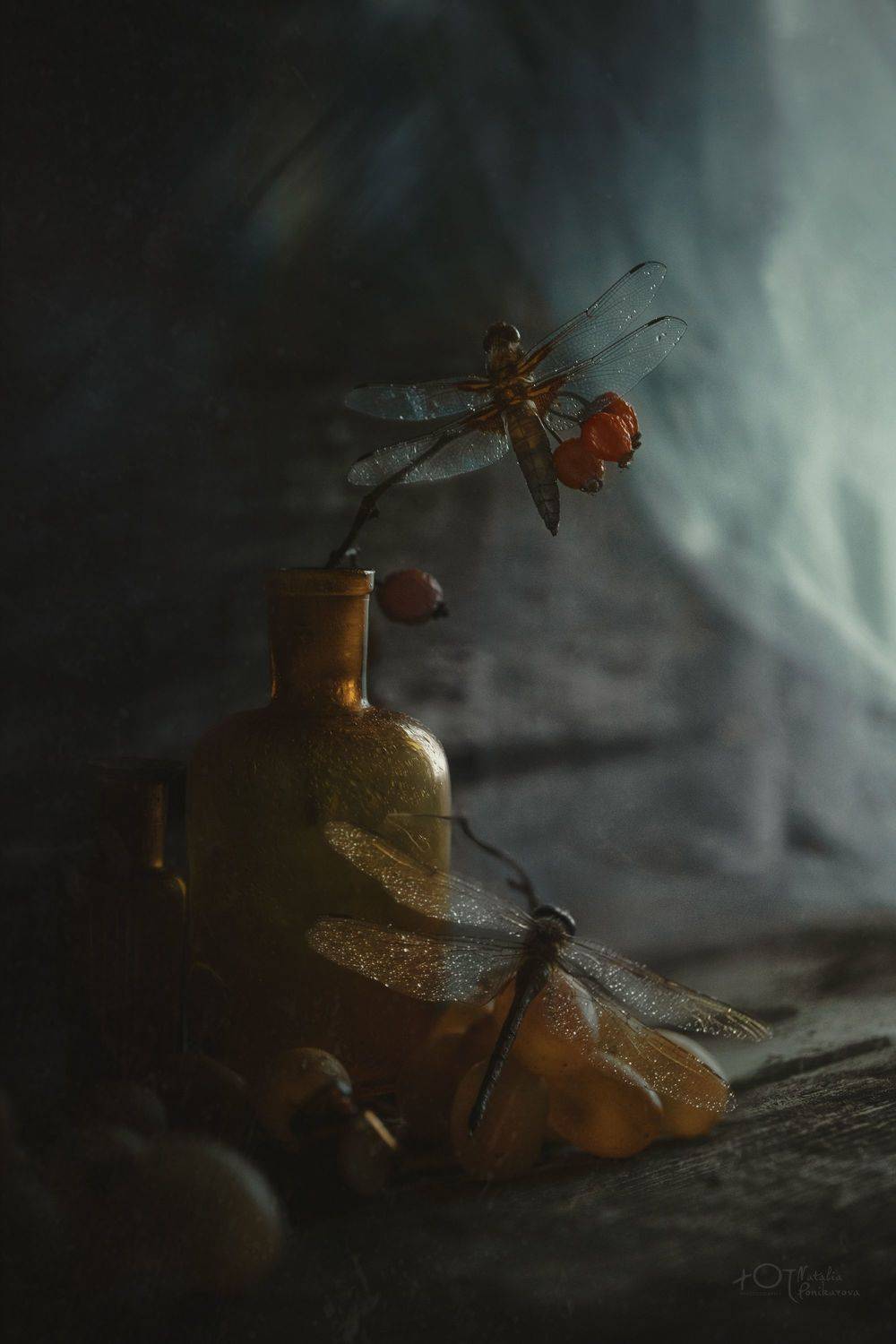 , Наталия Поникарова