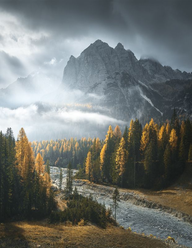 The last chance фото превью