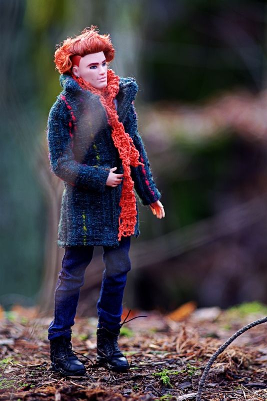 Ноябрь - время рыжих. Прогулка Лиса. фото превью