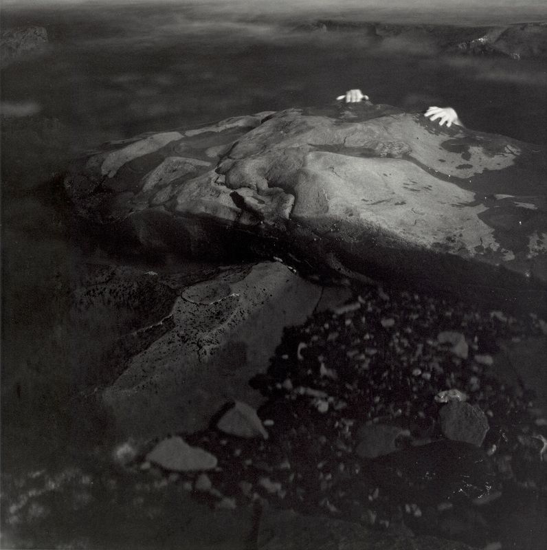 filmphotography, analogphotography, darkroomphotography, silvergelatineprint, b&w, blackandwhite Цепляться за... фото превью