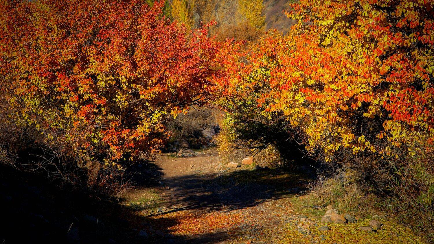 кыргызстан, горы, Элина Магалимова